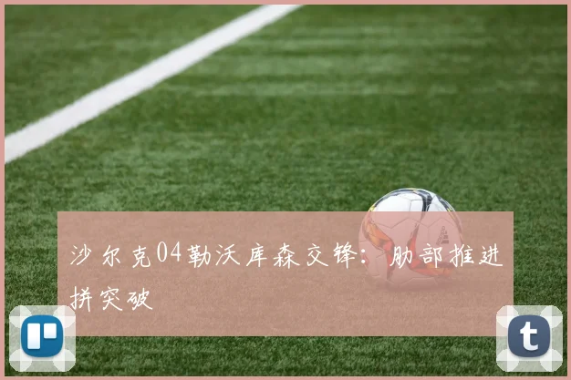 沙尔克04勒沃库森交锋：肋部推进拼突破
