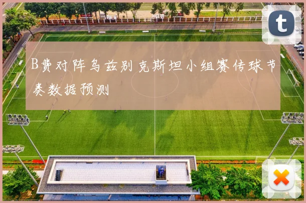 B费对阵乌兹别克斯坦小组赛传球节奏数据预测
