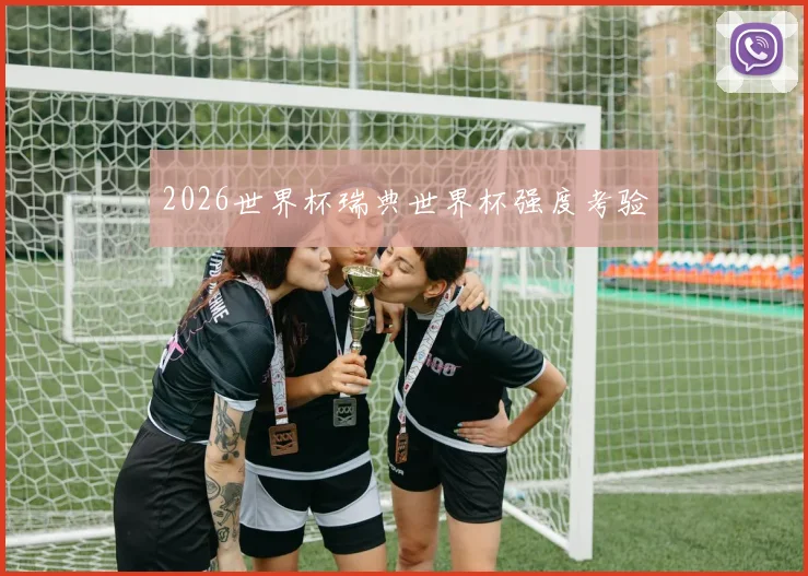 2026世界杯瑞典世界杯强度考验