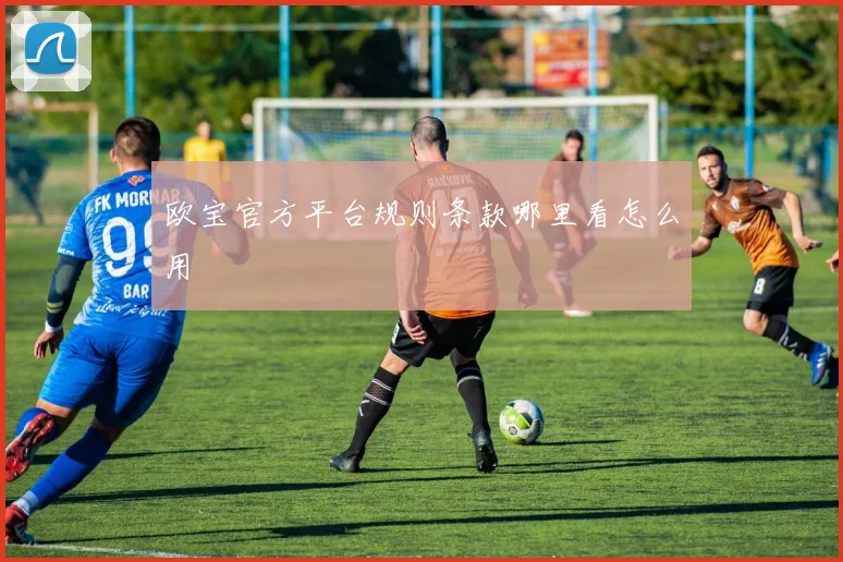 欧宝官方平台规则条款哪里看怎么用