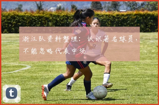 浙江队资料整理:认识著名球员,不能忽略代表中场