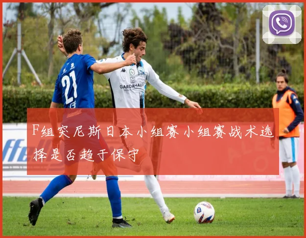 F组突尼斯日本小组赛小组赛战术选择是否趋于保守