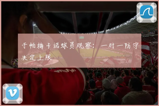 于帕梅卡诺球员观察：一对一防守决定上限