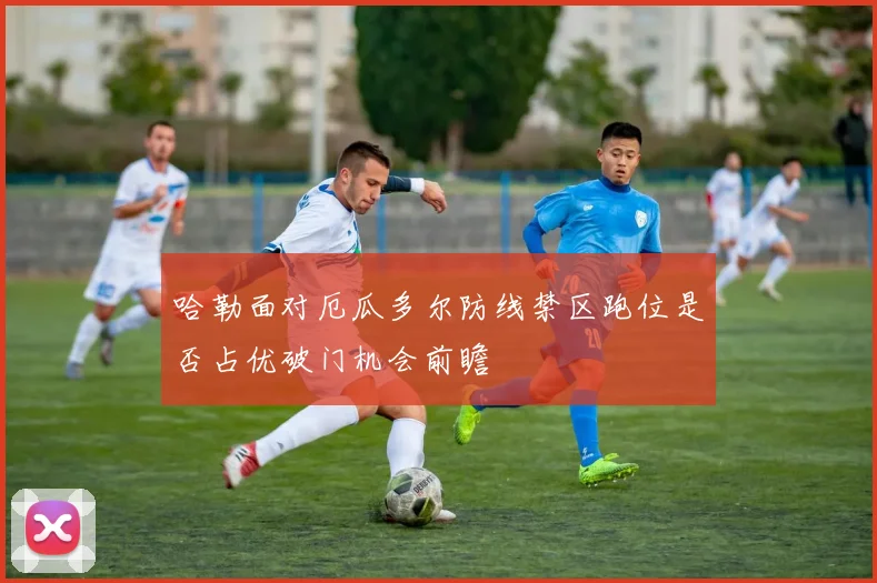 哈勒面对厄瓜多尔防线禁区跑位是否占优破门机会前瞻