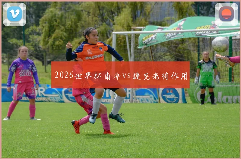 2026世界杯南非vs捷克老将作用