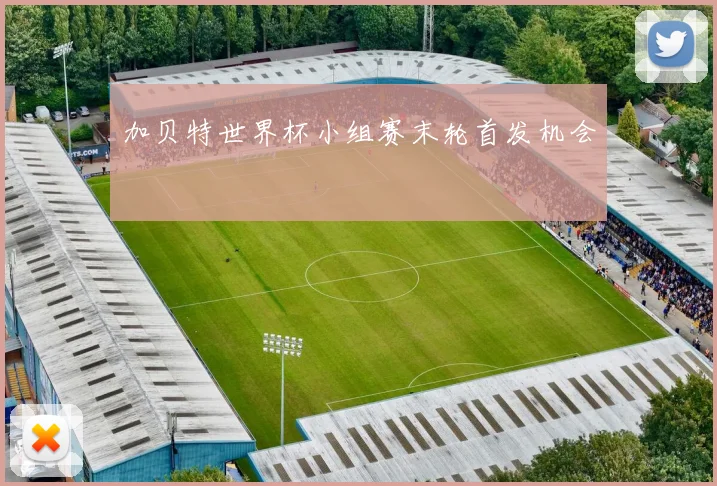 加贝特世界杯小组赛末轮首发机会