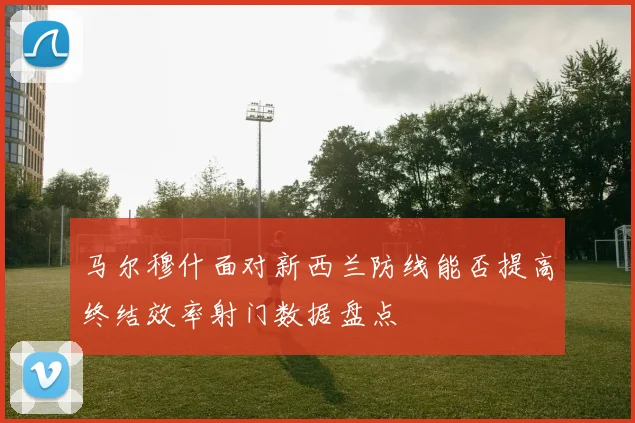 马尔穆什面对新西兰防线能否提高终结效率射门数据盘点