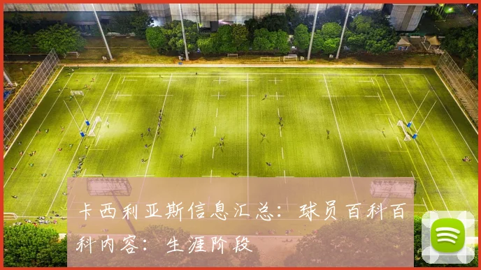 卡西利亚斯信息汇总:球员百科百科内容:生涯阶段
